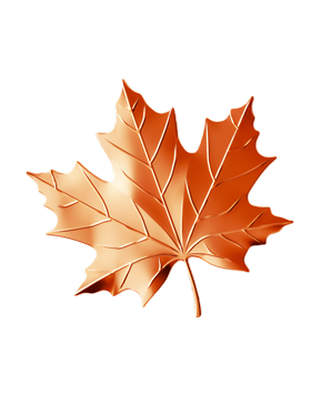 copperleaf-company-logo-icon