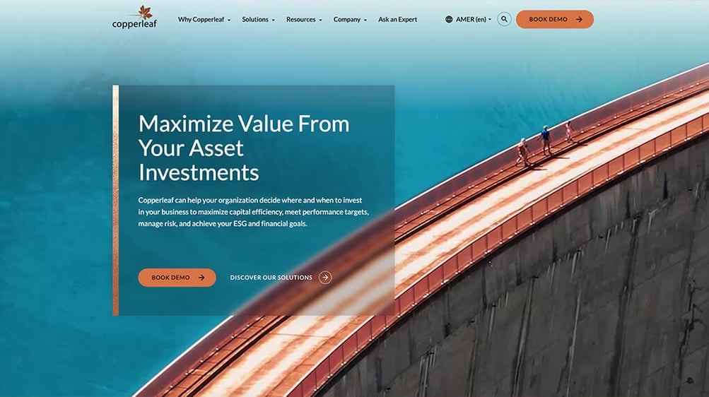 modern, visually appealing, UX website Copperleaf