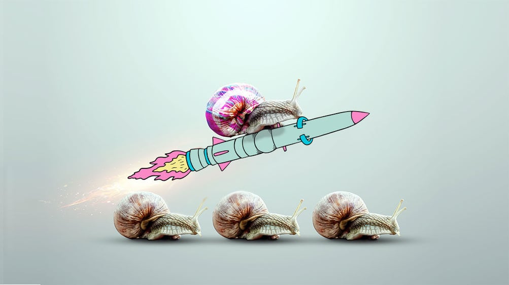 colourful snail riding a rocket over regular snails